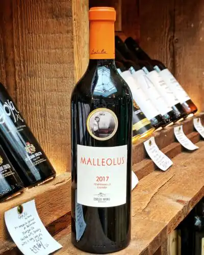 Malleolus