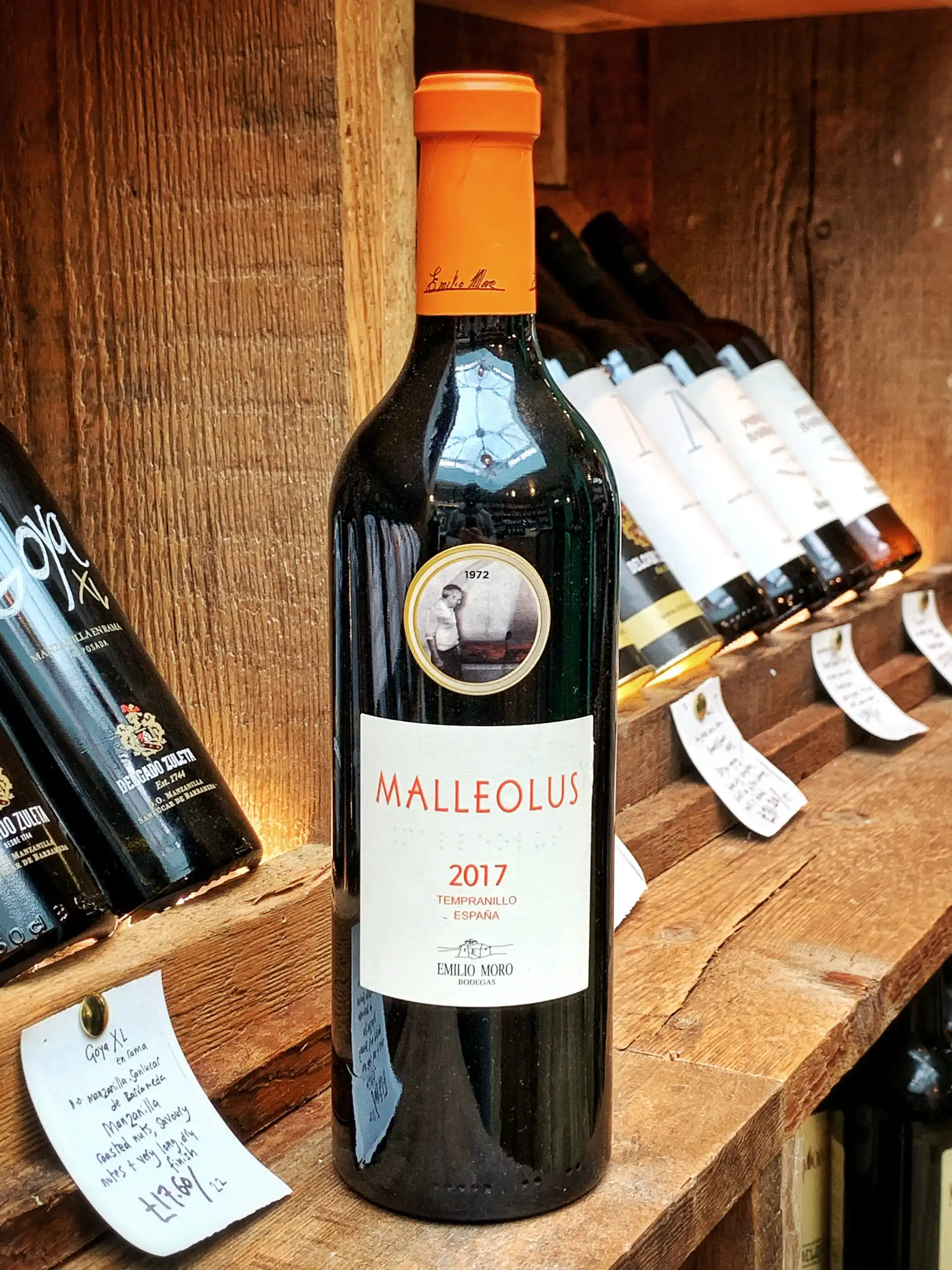 Malleolus