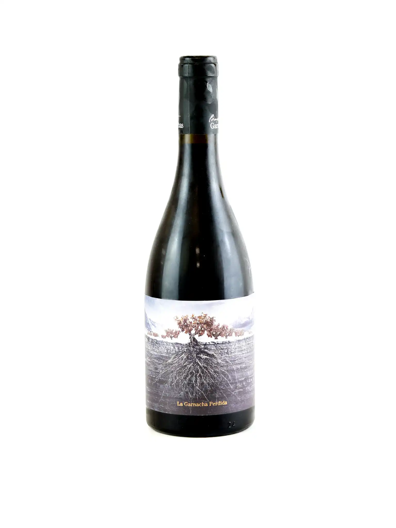 La Garnacha Perdida Pireneo