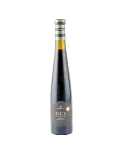 Mas D'en Gil Nus