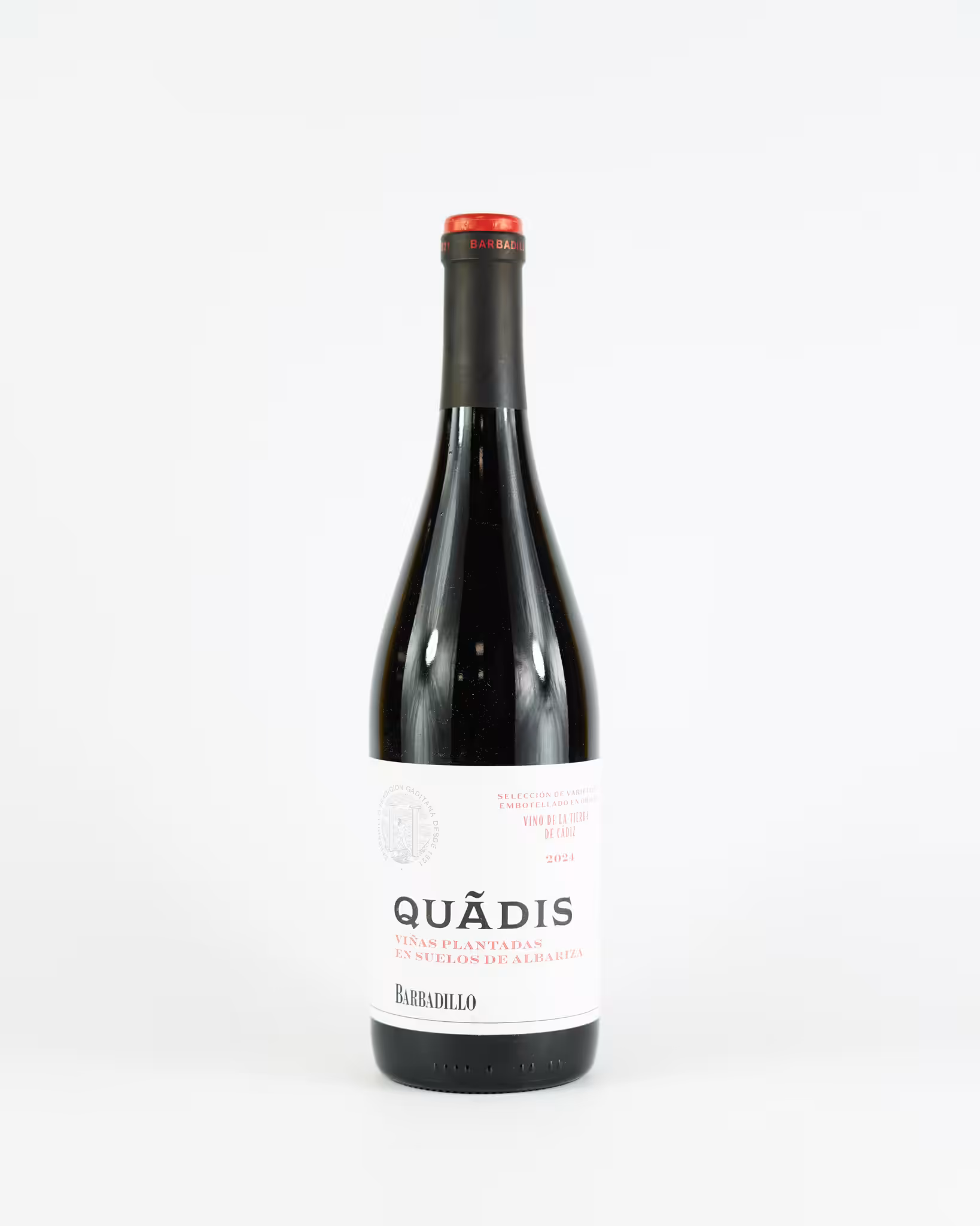 Tinto Quadis Joven